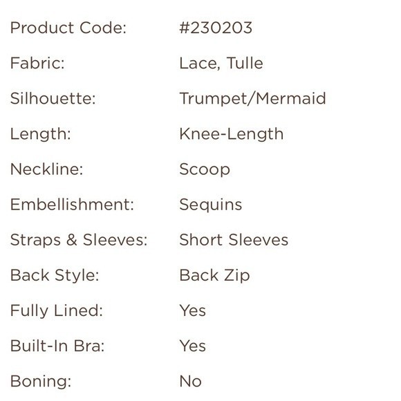 NEW JJs House Dress Bridesmaid Wedding Special Occasions Pearl Pink NWT Size 10 - Picture 12 of 13